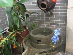 -水乡人家私房菜(逢简店)