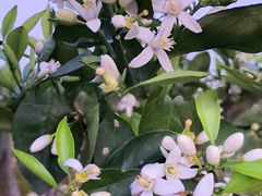 -洋湖国家湿地公园