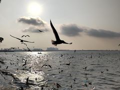 -滇池海埂公园