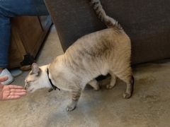 -花十悦·鲜花咖啡餐厅(振业城一期店)