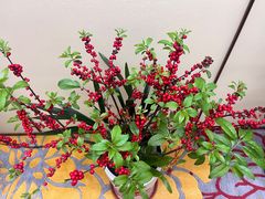 -济南遥墙国际机场-叁号贵宾厅