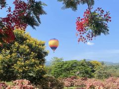 -中国科学院西双版纳热带植物园
