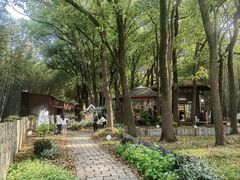 -同里国家湿地公园