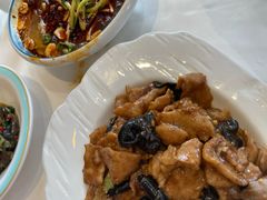 -凯鸽酒楼(大同振兴街店)