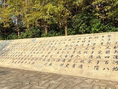 -澹台湖公园
