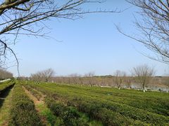 -凤凰沟景区