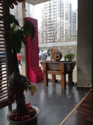 照片 00ssgh9 (95)-木北造型