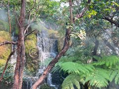 -Chom Cafe and Restaurant