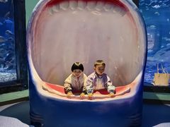 -海合安武汉极地海洋公园