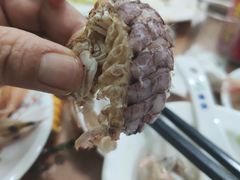-梅子大排档