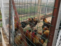 -昆明春城湖畔度假村