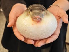 -永安鱼庄·镇江菜(东吴路店)