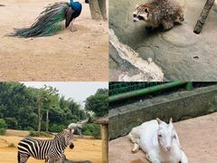 -杭州野生动物世界