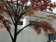 -艾薯夫妇Aysh(福田星河COCOPark店)