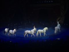 -珠海横琴长隆《卡卡虎奇遇记》