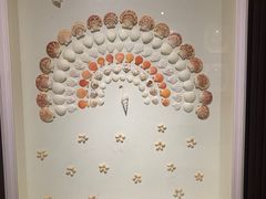 -青岛贝壳博物馆