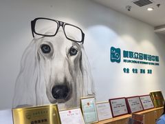 -美联众合动物医院·24h转诊中心