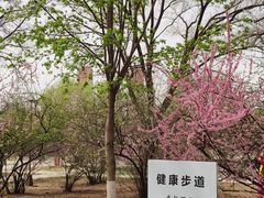 -万泉公园