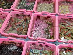 -众味海鲜大排档·活海鲜·潮汕味(南澳店)
