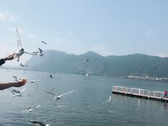 -怡得观滇餐厅·地道昆明菜·1996(海埂大坝店)