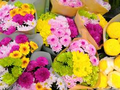 -豆豆花艺(新光天地店)