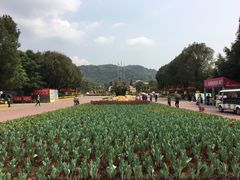 -东南花都花博园