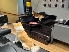 -YCHL Studios健身工作室(市二宫店)