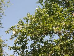 -龙苍沟森林公园