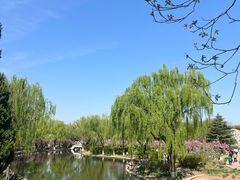 -石家庄市植物园