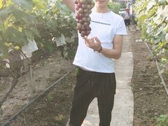 -马陆小张葡萄园农家乐