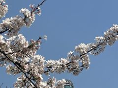 -西北湖绿化广场