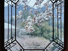 -中国茶叶博物馆(双峰馆区)