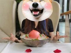 -梧桐