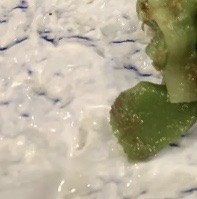 -兄弟船日本料理(新世界花园店)