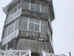 -武陵山森林公园
