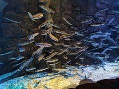 -多彩贵州城极地海洋世界