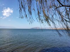 -大理洱海