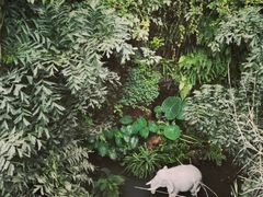 -泸州老窖景区