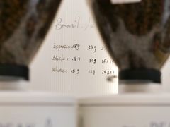 -Onirii Coffee(长乐路店)