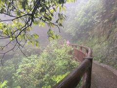 -崀山风景名胜区