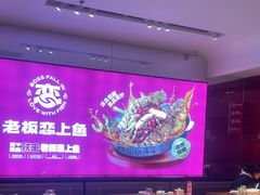 -老板恋上鱼(恒隆广场店)