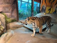 -皇家极地海洋世界-售票处