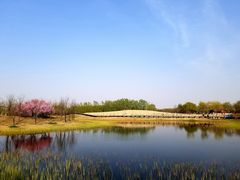 -东郊湿地公园