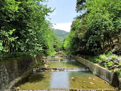 -广州白江湖森林公园