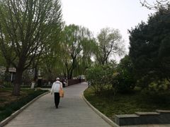 -丰台花园