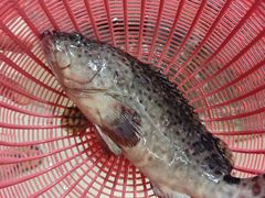 -鑫鸿达·海鲜闽菜热炒小馆(中山路店)