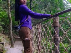 -天目山大树王景区