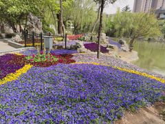 -西安市长乐公园