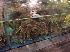 -蟹之国·精品蟹料理(极地店)