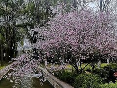-洛阳市隋唐城遗址植物园